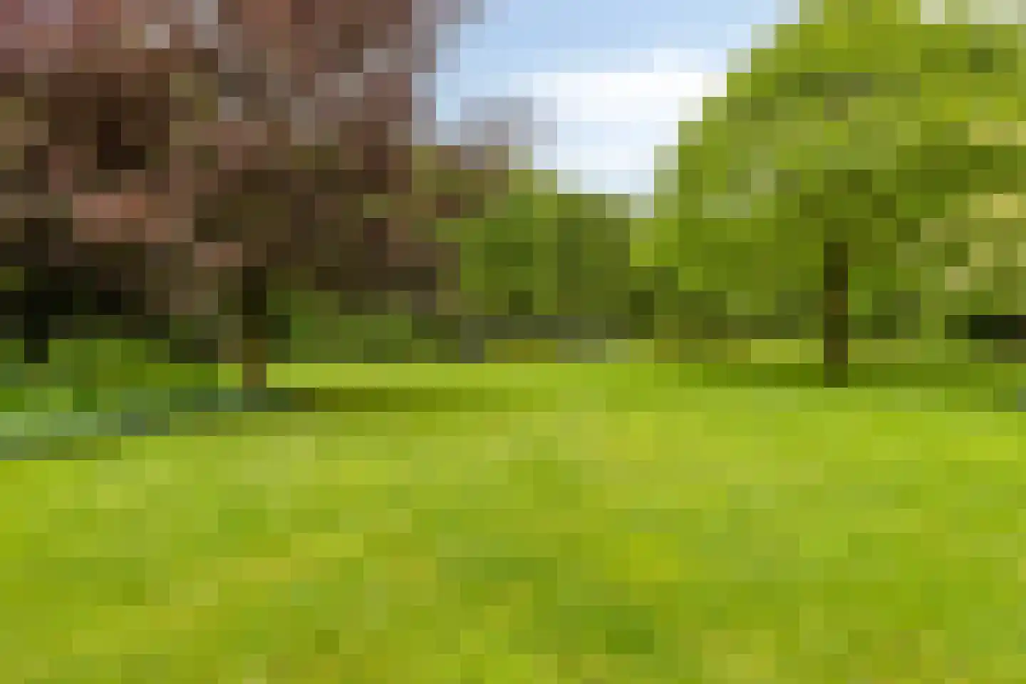 De Buytencamp 2 a Bakel thumbnail 93