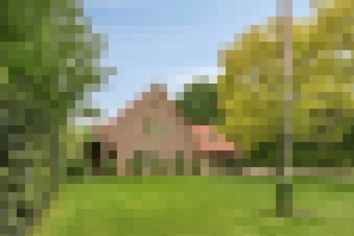 De Buytencamp 2 a Bakel thumbnail 95