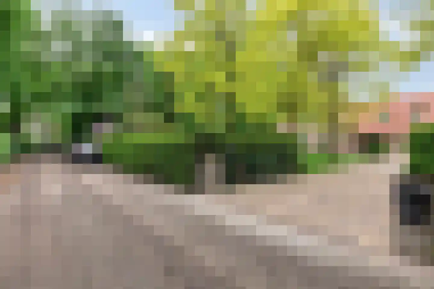 De Buytencamp 2 a Bakel thumbnail 97