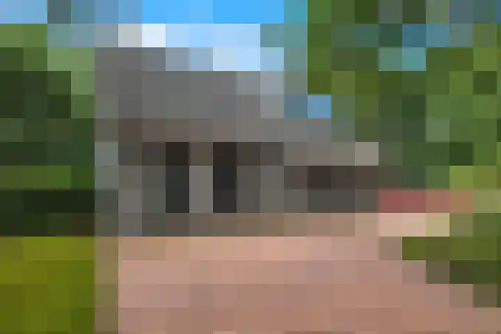 De Buytencamp 6 Bakel thumbnail 10