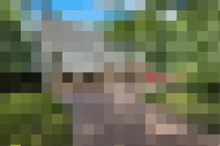 De Buytencamp 6 Bakel thumbnail 11