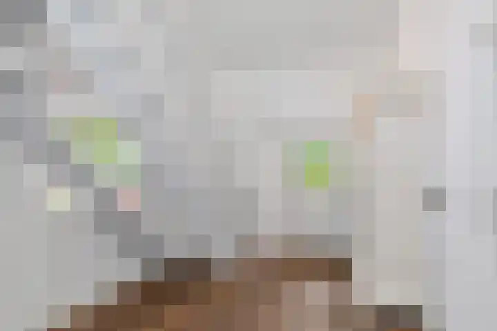 De Buytencamp 6 Bakel thumbnail 13