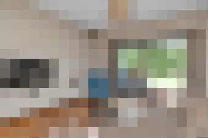 De Buytencamp 6 Bakel thumbnail 16