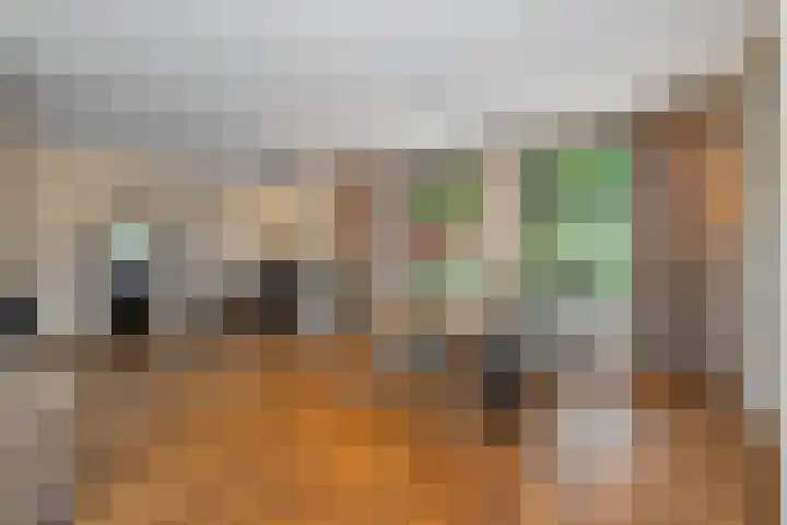 De Buytencamp 6 Bakel thumbnail 18
