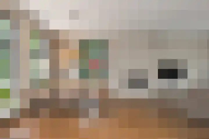 De Buytencamp 6 Bakel thumbnail 20