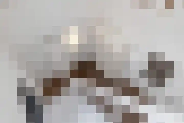 De Buytencamp 6 Bakel thumbnail 31