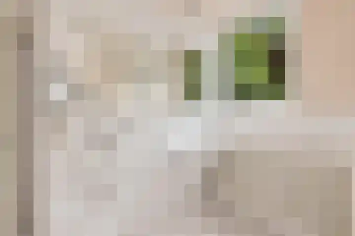 De Buytencamp 6 Bakel thumbnail 32