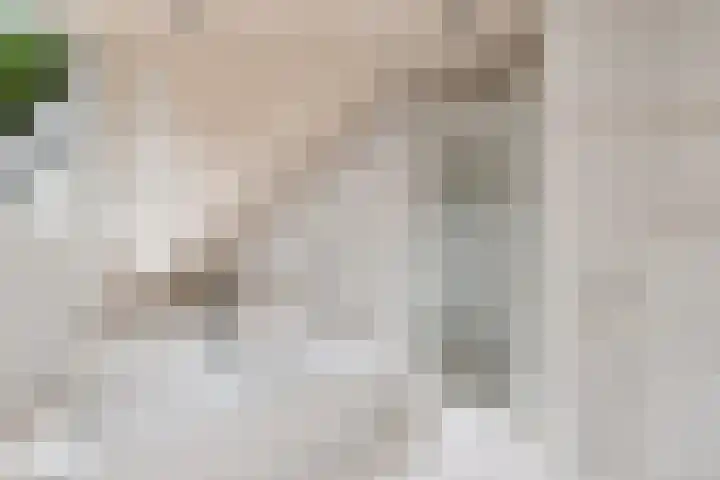 De Buytencamp 6 Bakel thumbnail 33
