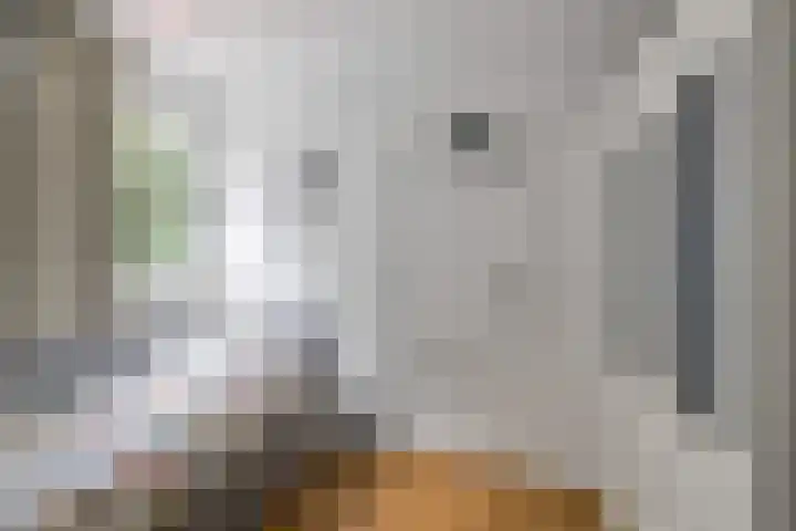 De Buytencamp 6 Bakel thumbnail 36