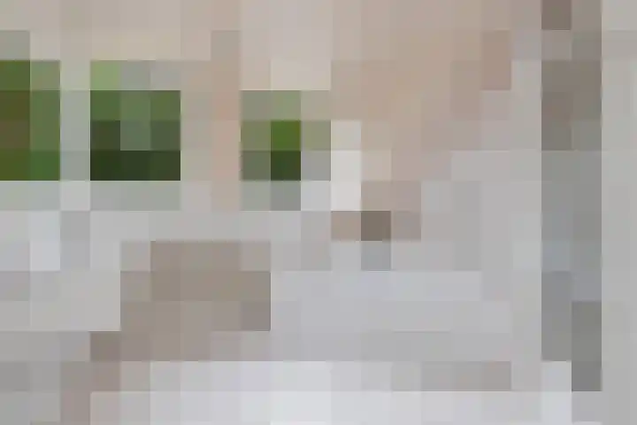 De Buytencamp 6 Bakel thumbnail 4