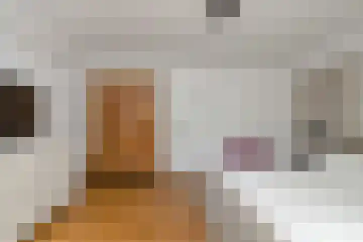 De Buytencamp 6 Bakel thumbnail 40