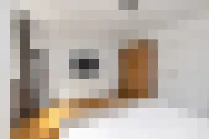 De Buytencamp 6 Bakel thumbnail 41