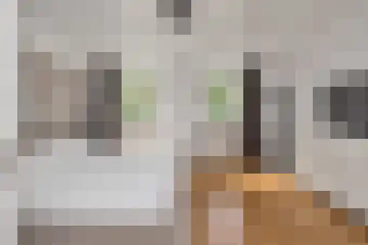De Buytencamp 6 Bakel thumbnail 42