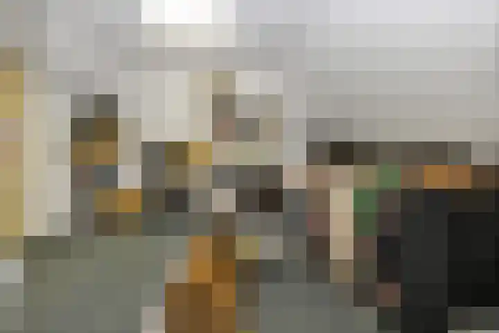 De Buytencamp 6 Bakel thumbnail 43
