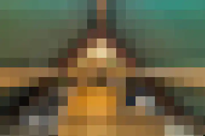 De Buytencamp 6 Bakel thumbnail 44