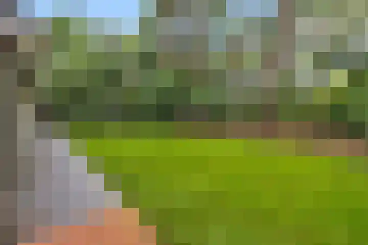 De Buytencamp 6 Bakel thumbnail 46