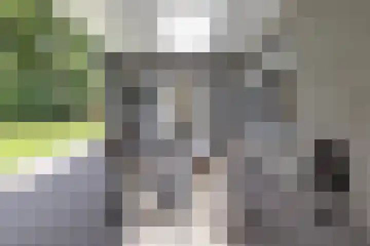 De Buytencamp 6 Bakel thumbnail 47