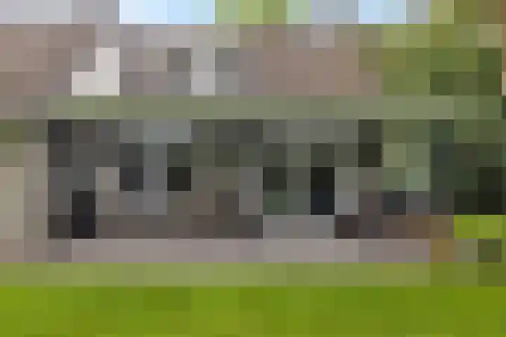 De Buytencamp 6 Bakel thumbnail 49