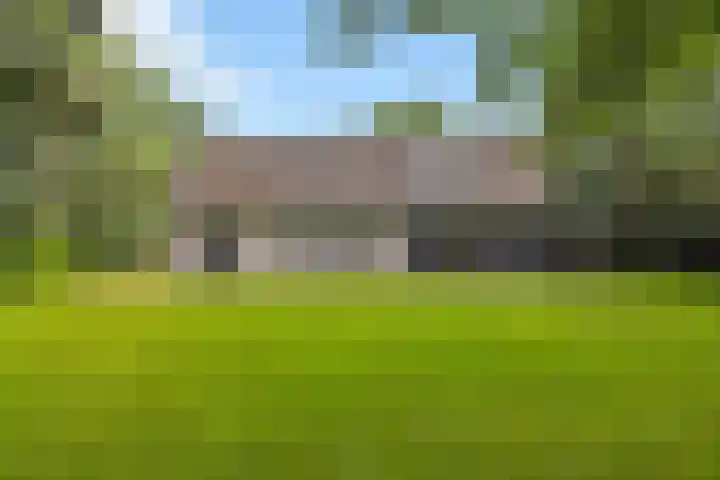 De Buytencamp 6 Bakel thumbnail 5