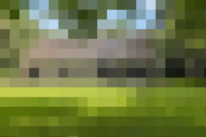 De Buytencamp 6 Bakel thumbnail 51