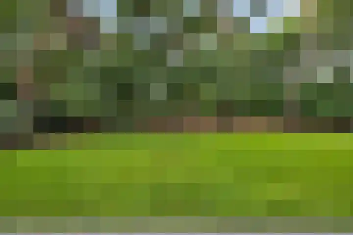 De Buytencamp 6 Bakel thumbnail 52
