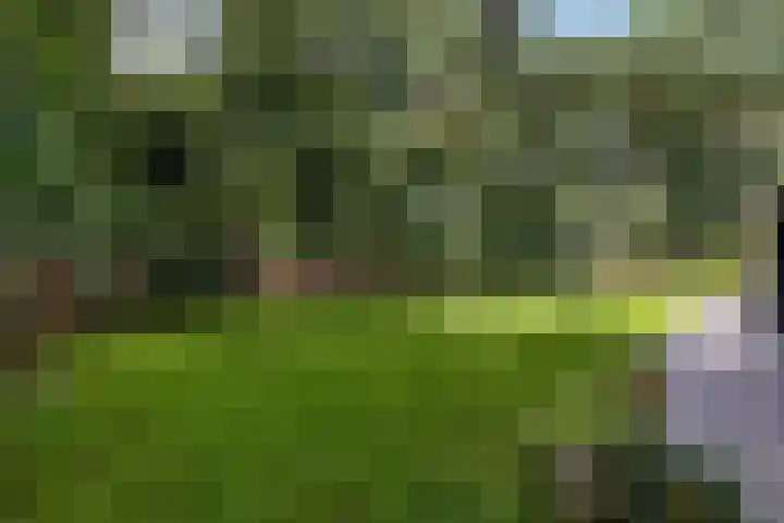 De Buytencamp 6 Bakel thumbnail 53