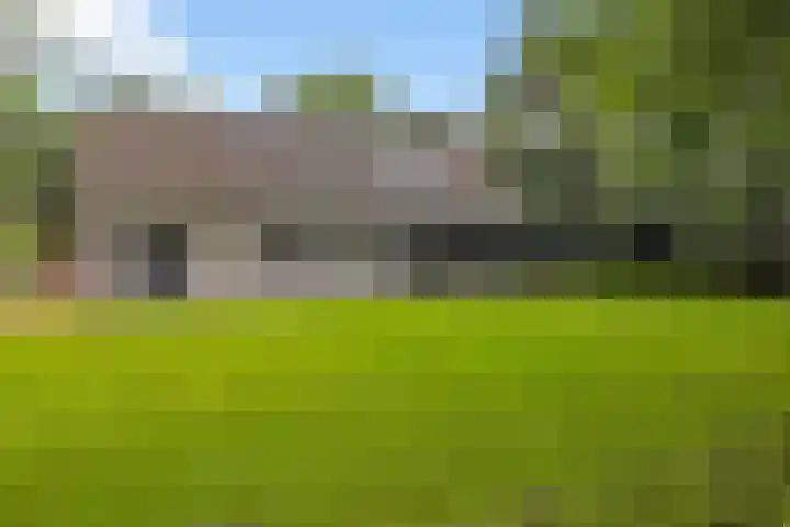 De Buytencamp 6 Bakel thumbnail 54