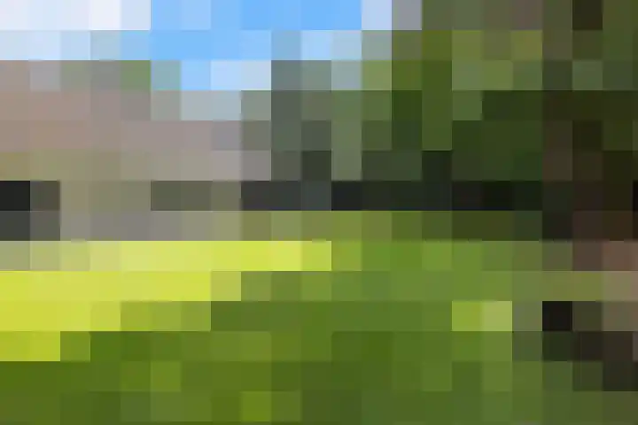 De Buytencamp 6 Bakel thumbnail 55