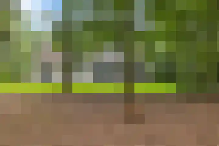 De Buytencamp 6 Bakel thumbnail 56