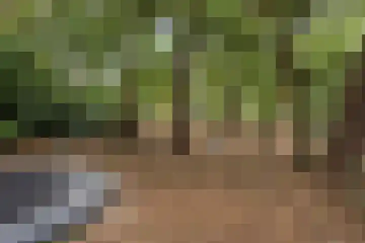 De Buytencamp 6 Bakel thumbnail 57