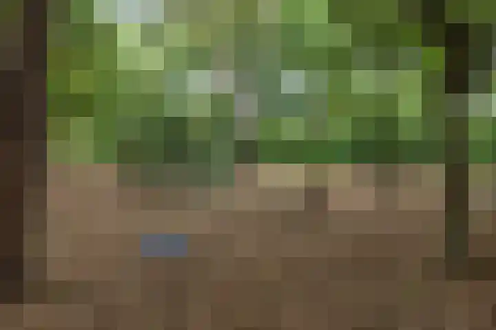 De Buytencamp 6 Bakel thumbnail 58