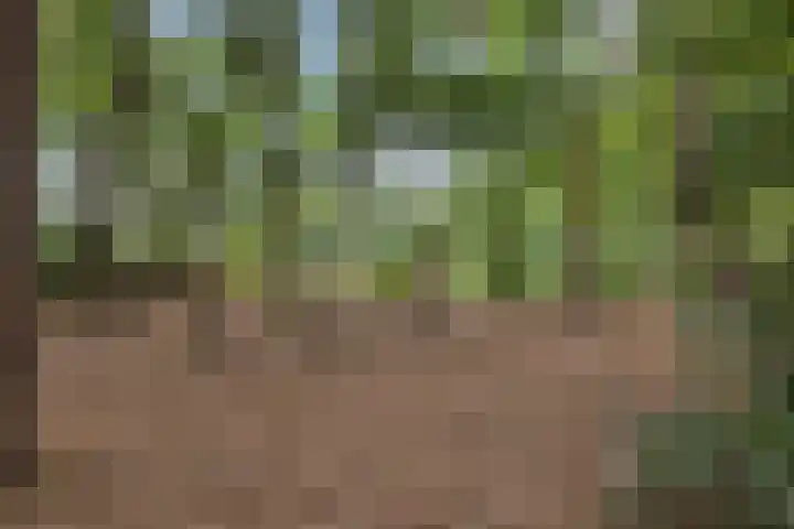 De Buytencamp 6 Bakel thumbnail 59