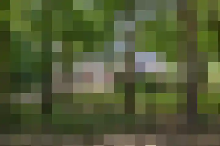 De Buytencamp 6 Bakel thumbnail 6