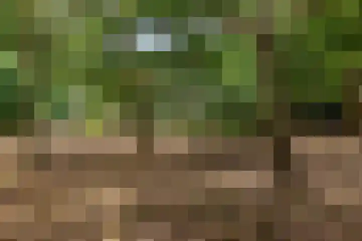 De Buytencamp 6 Bakel thumbnail 60
