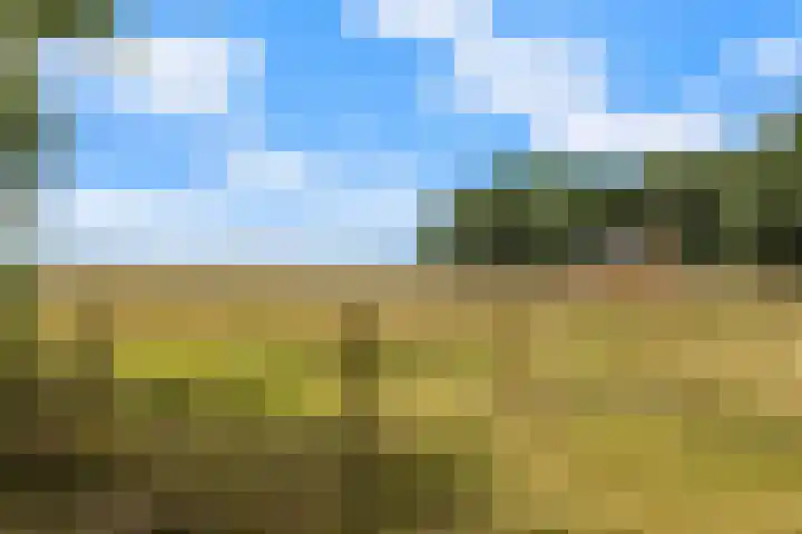 De Buytencamp 6 Bakel thumbnail 62