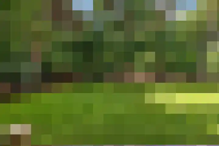 De Buytencamp 6 Bakel thumbnail 63