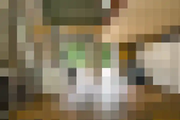 De Buytencamp 6 Bakel thumbnail 64