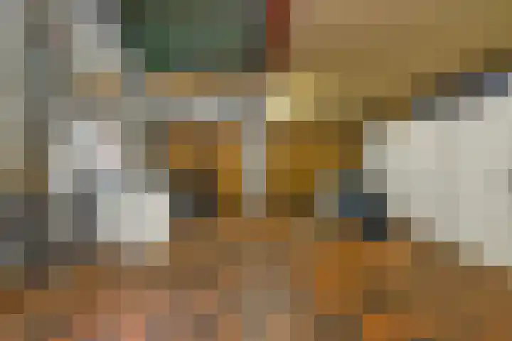 De Buytencamp 6 Bakel thumbnail 65