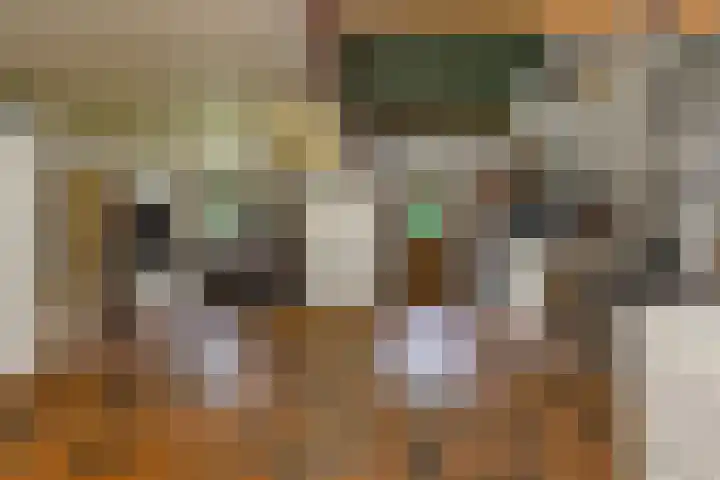 De Buytencamp 6 Bakel thumbnail 66