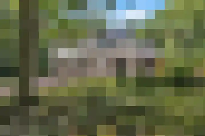 De Buytencamp 6 Bakel thumbnail 8