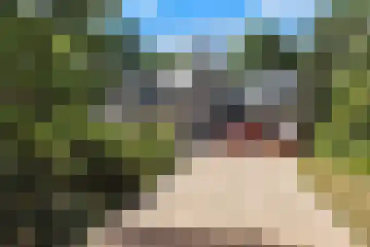 De Buytencamp 6 Bakel thumbnail 9