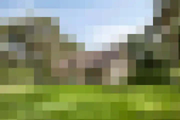 De Buytencamp 7 Bakel thumbnail 10