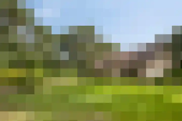 De Buytencamp 7 Bakel thumbnail 11