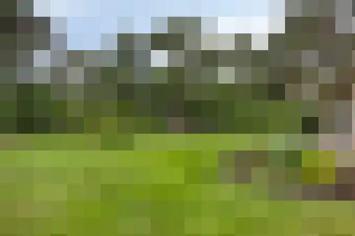 De Buytencamp 7 Bakel thumbnail 12