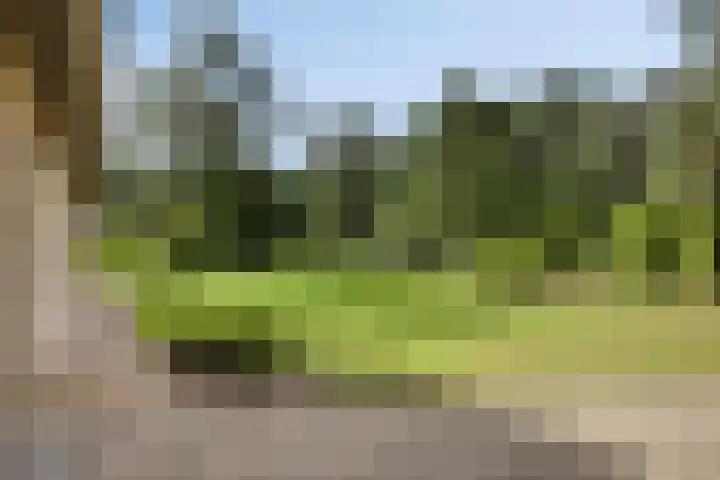 De Buytencamp 7 Bakel thumbnail 13