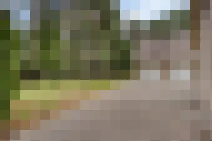 De Buytencamp 7 Bakel thumbnail 14