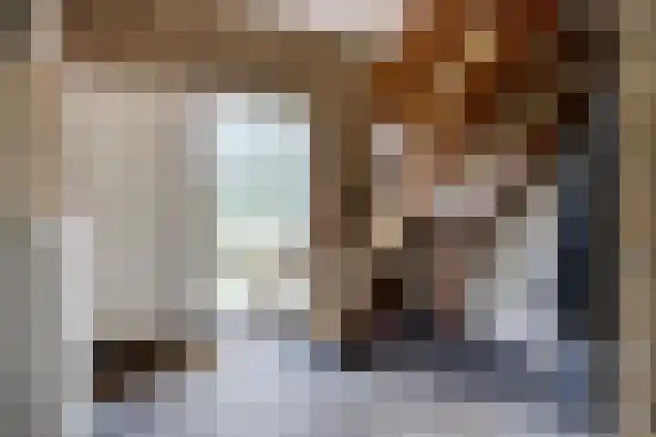 De Buytencamp 7 Bakel thumbnail 15