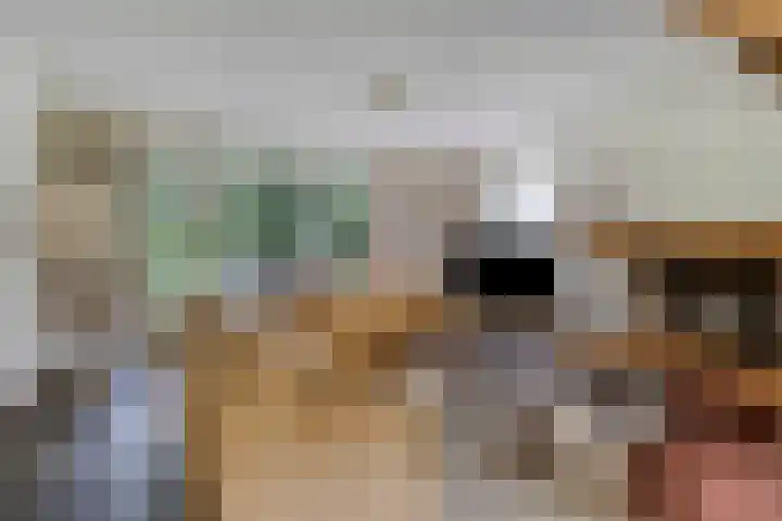 De Buytencamp 7 Bakel thumbnail 17