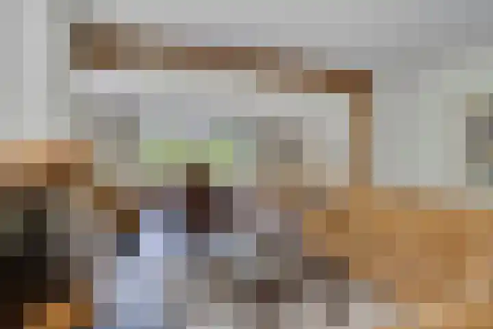 De Buytencamp 7 Bakel thumbnail 19