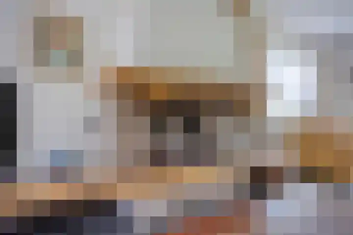 De Buytencamp 7 Bakel thumbnail 22